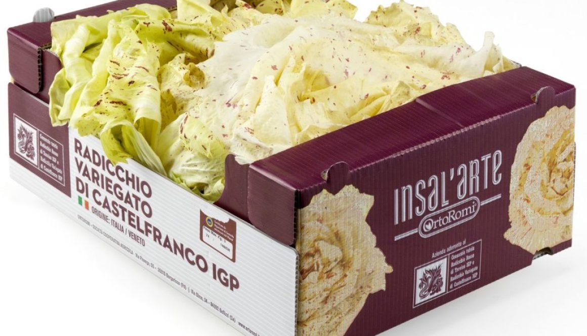 Insal'Arte - Radicchio Variegato di Castelfranco I.G.P. Sfuso