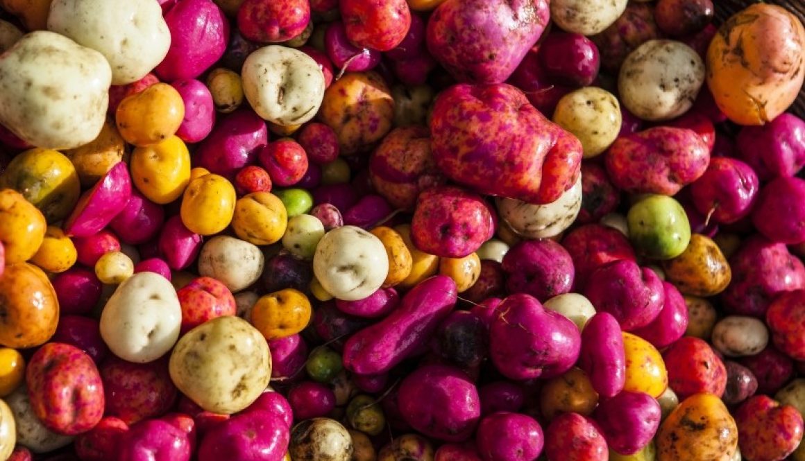 biodiversita-fao-slowfood