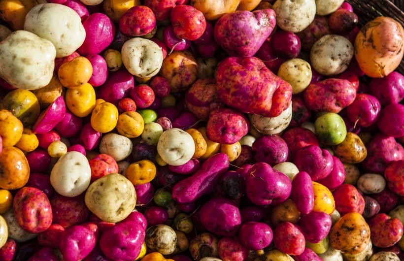 biodiversita-fao-slowfood