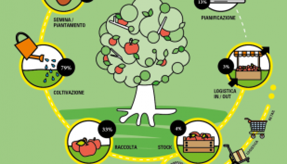il digitale scende in campo ma la partita è di filiera