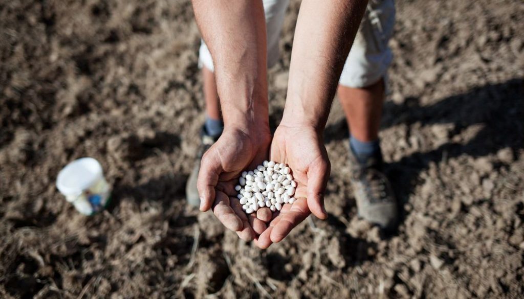 Presidio Slow Food Fagiolo Gorga