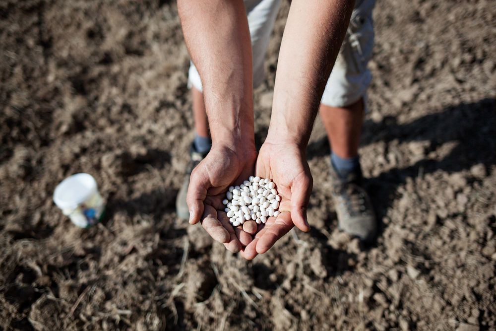 Presidio Slow Food Fagiolo Gorga