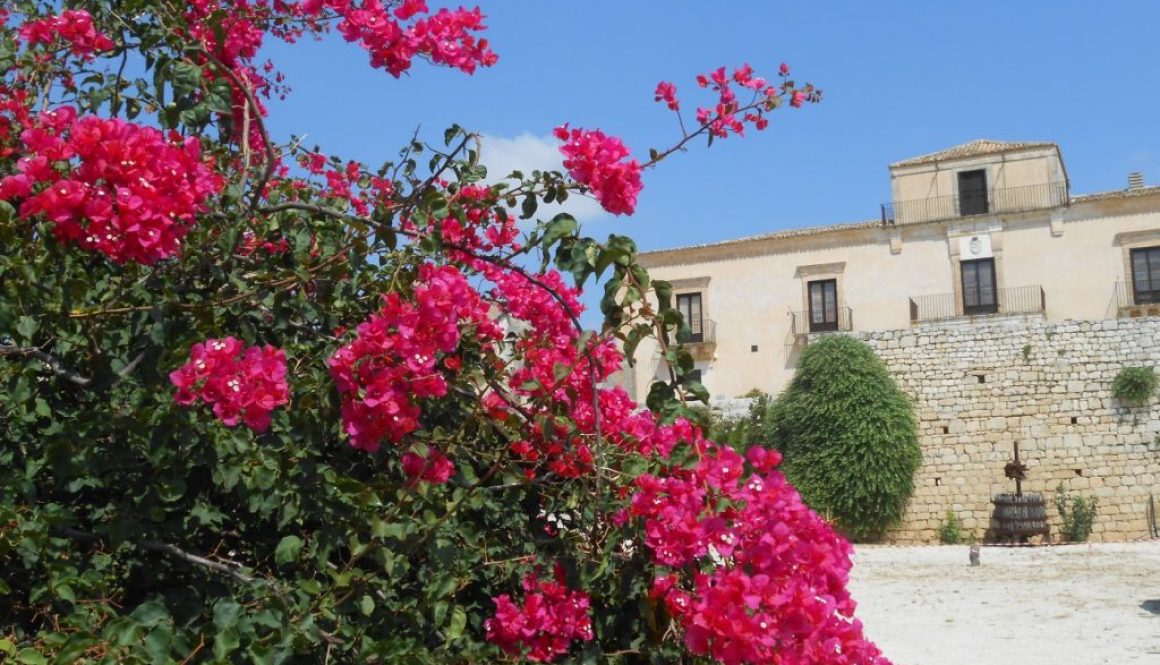 tenuta Curto a Ispica e bouganville-Ispica