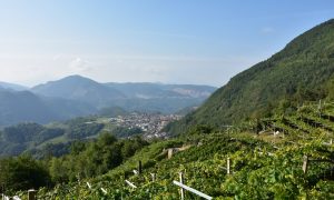 Val di Cembra - vista da Vigna delle Forche