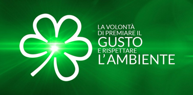 Stella Verde Michelin