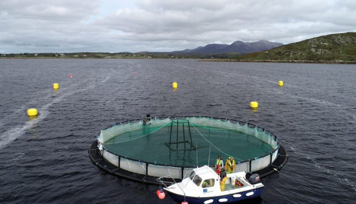 IMPAQT pilot Ireland