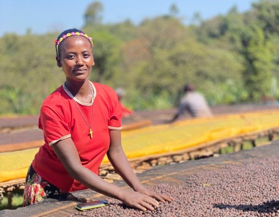 WOMENS COFFEE PROJECT ethiopia