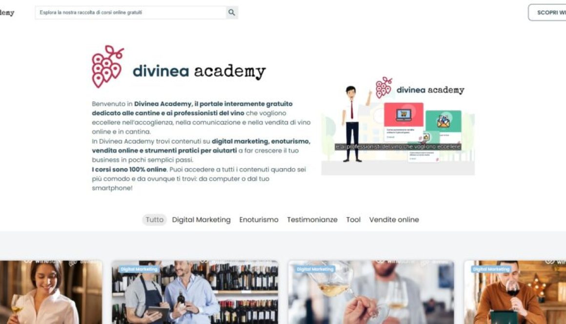 divinea academy