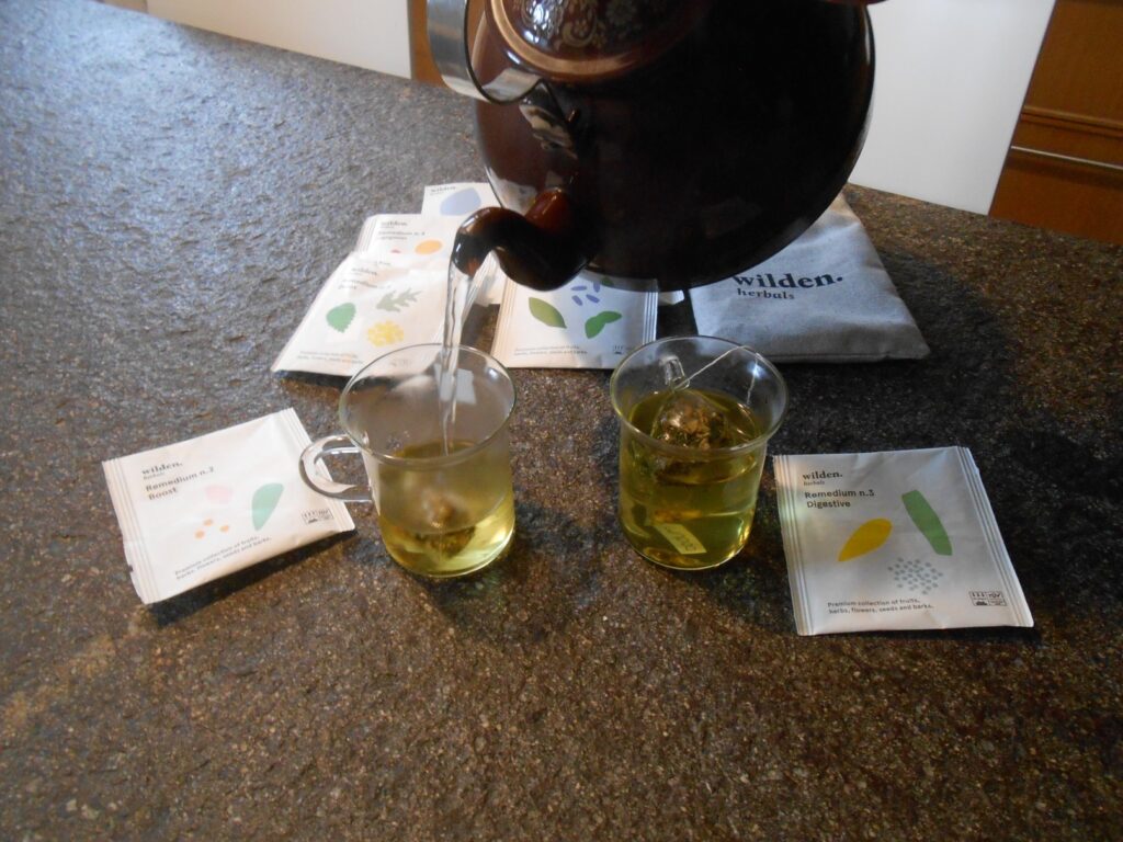 teiera giapponese e tisane wilden