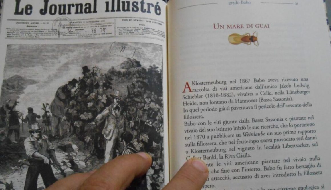 grado Babo, Sergio Tazzer, Kellermann editore