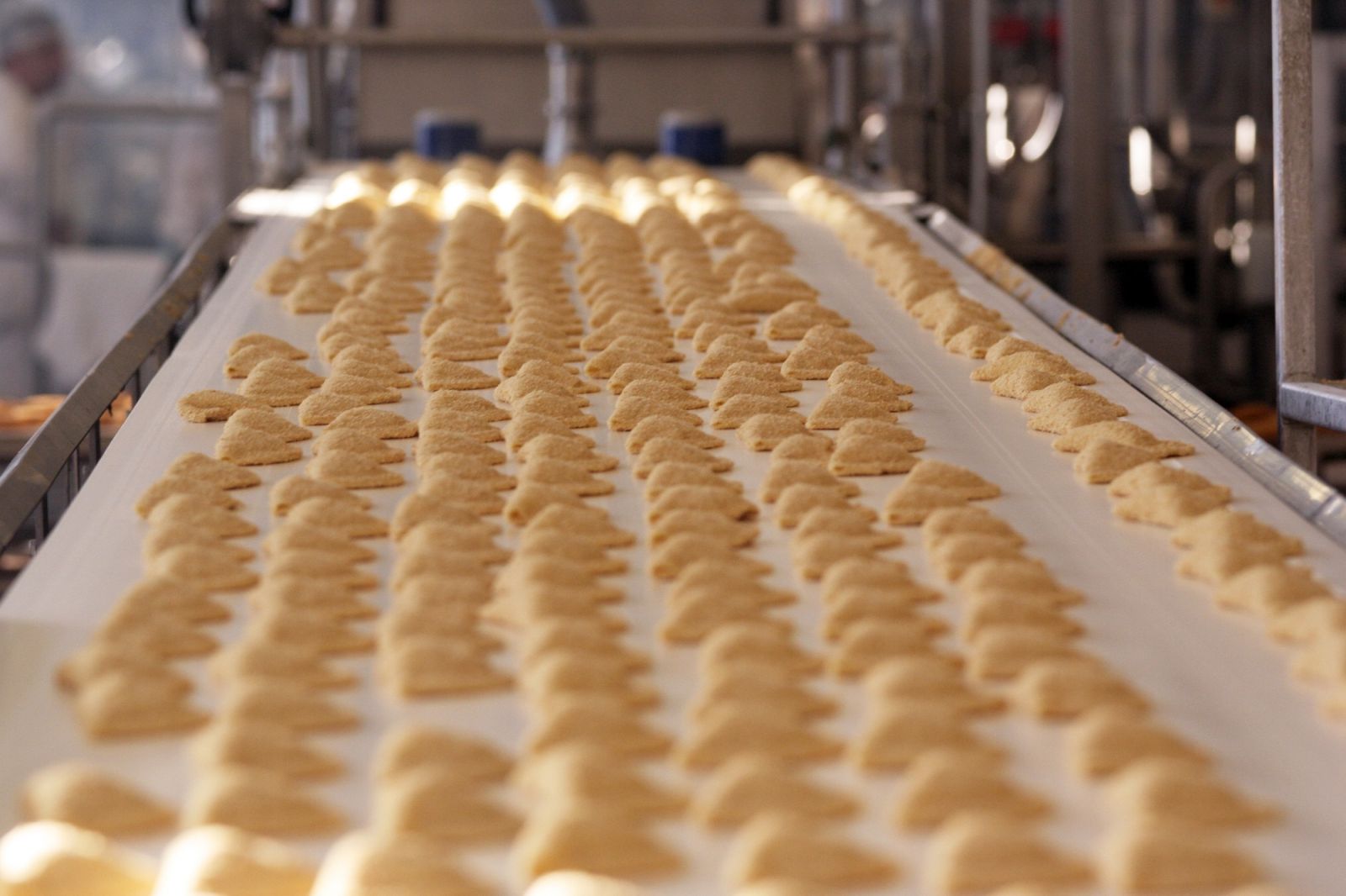 linea sofficini produzione