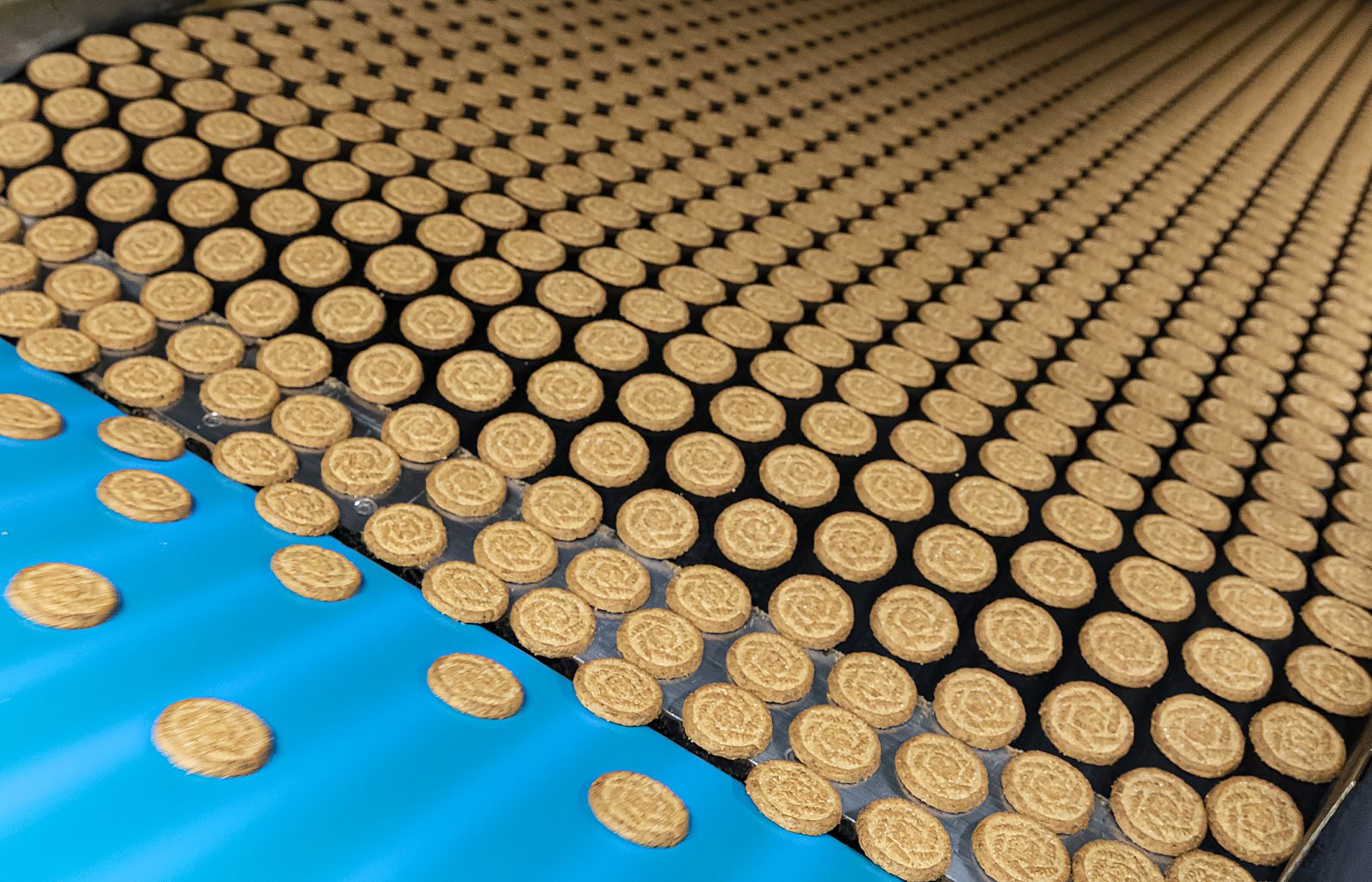 annualmente sfornati 10 miliardi di biscotti, 1 miliardo di cracker e 1 miliardo e mezzo di sfoglie Mulino Bianco, Pan Di Stelle, Pavesi e Gran Cereale