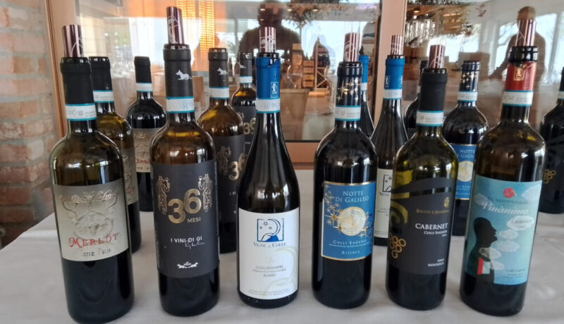 Colli Euganei rosso doc